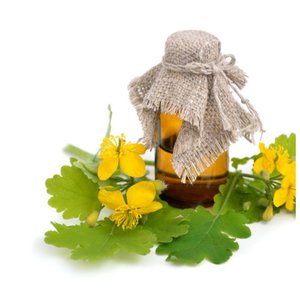 Honey and Celandine