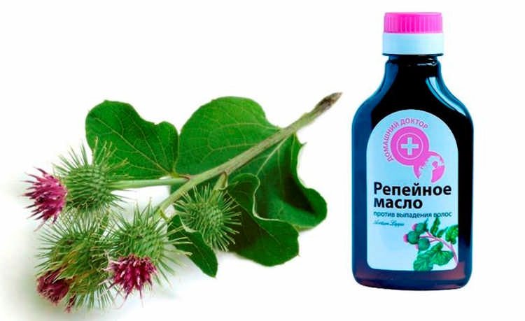 Burdock oil helps with hair loss