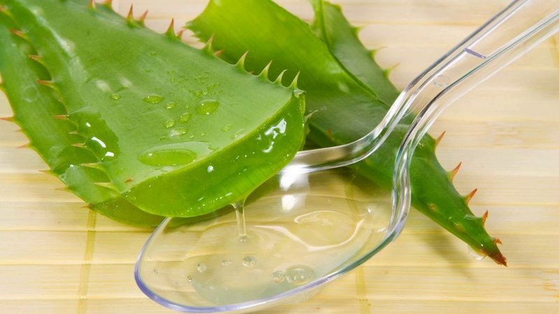 Aloe juice improves blood circulation on the scalp