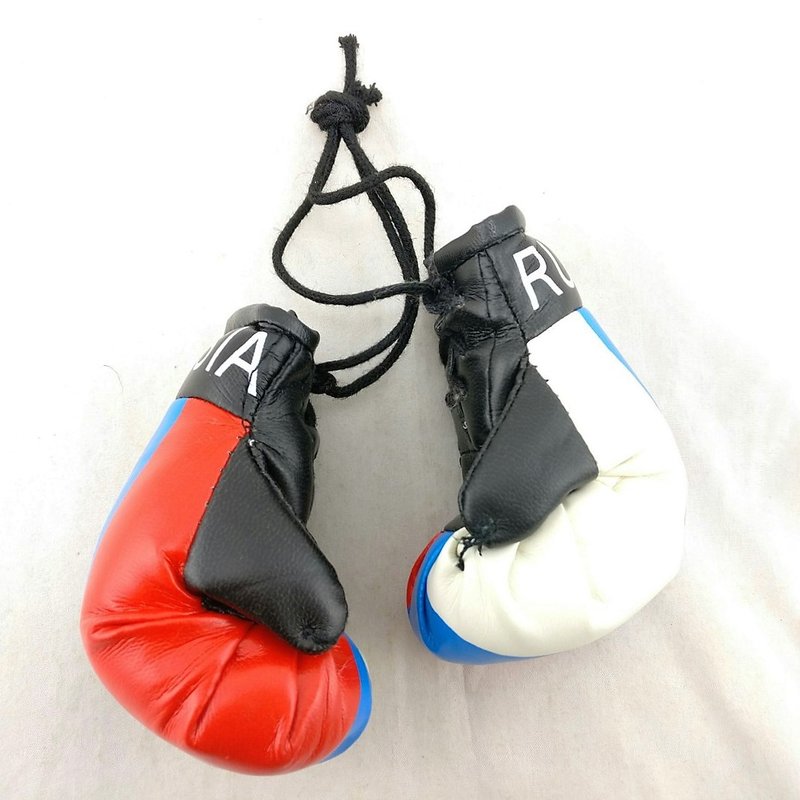 Gift Boxing Gloves