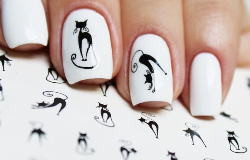 White nails with cats slides