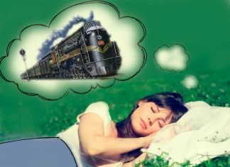 What is the dream of the train