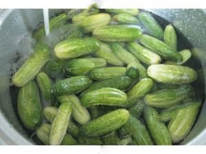 Pickled cucumbers for the winter