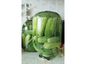 Pickled cucumbers for the winter