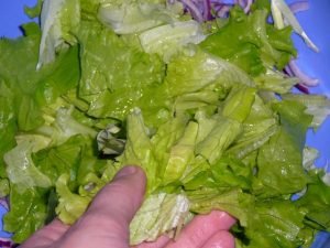 Chicken liver salad