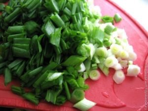 Egg and spring onion pie