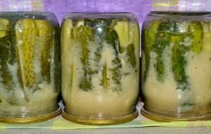 Cucumbers with mustard for the winter