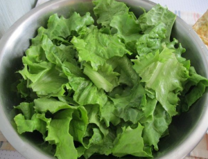 Salad with celery, tuna, cucumber and pepper