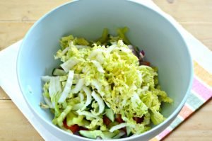 Vegetable salad with Beijing cabbage, cucumber, tomatoes