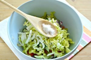 Vegetable salad with Beijing cabbage, cucumber, tomatoes