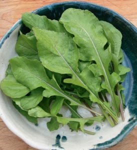 Salad with smoked sausage, cheese and arugula