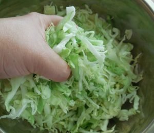 Young cabbage salad with cucumbers