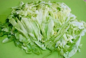 Iceberg Salad with Carrots and Celery