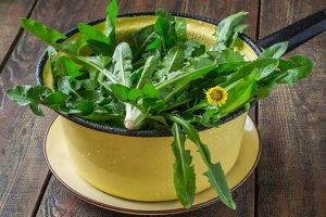 Dandelion and nettle salad