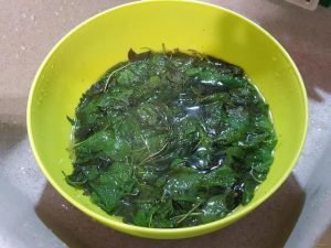 Dandelion and nettle salad