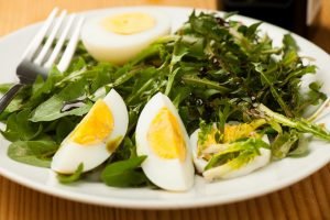 Dandelion and nettle salad