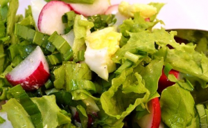 Radish Salad with Egg