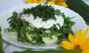 Sorrel Salad with Cucumber