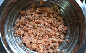 Canned Salmon Salad