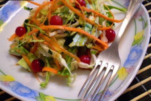 Salad from young cabbage, carrots and viburnum