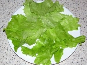 Salad with Chicken Breast and Pickles