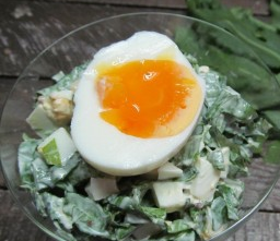 Sorrel Salad with Egg