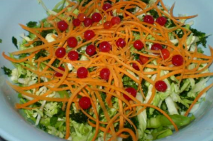 Salad from young cabbage, carrots and viburnum