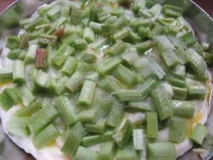 Sour cream filling rhubarb pie