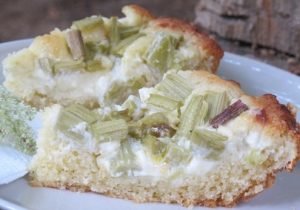 Sour cream filling rhubarb pie