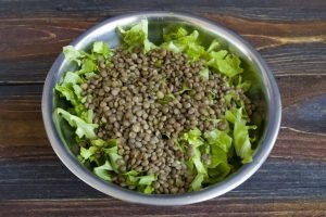 Lentil and Cheese Salad