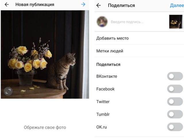 Best ways to repost photos and videos on and from Instagram