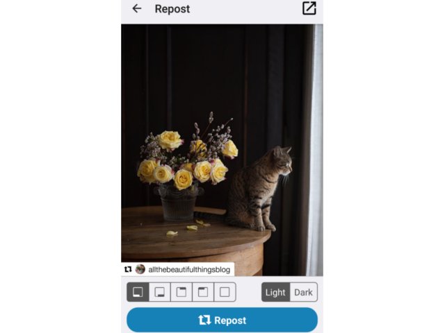 Best ways to repost photos and videos on and from Instagram