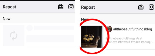 Best ways to repost photos and videos on and from Instagram