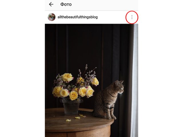 Best ways to repost photos and videos on and from Instagram