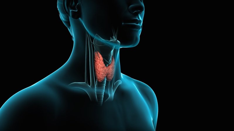 speak thyroid