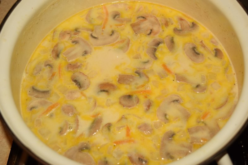 Mushroom Cheese Soup