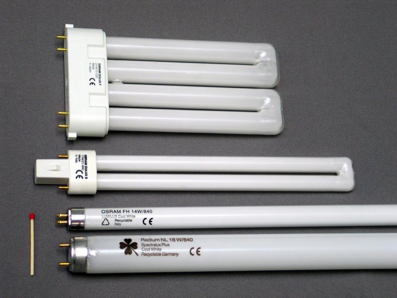 Fluorescent lamps