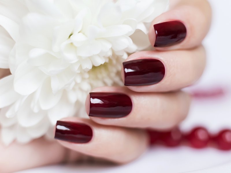 Burgundy gel polish on nails