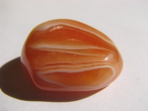 Carnelian for a female Lion