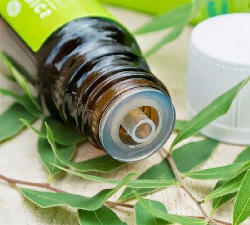 Tea tree oil whitens teeth without harm