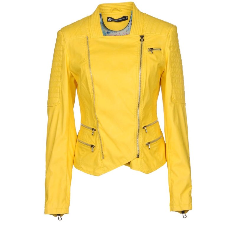 Ceylon yellow jacket