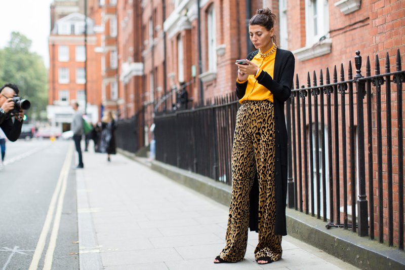 Leopard Palazzo