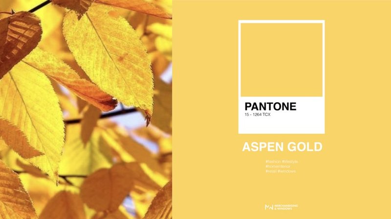 Color Aspen Gold