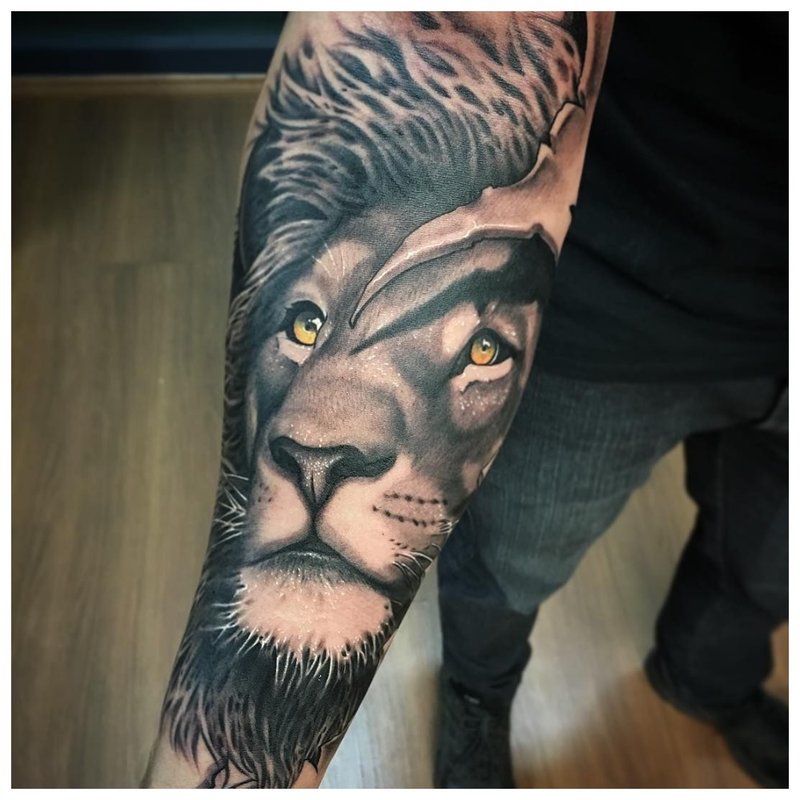 Animal tattoo on a man's forearm