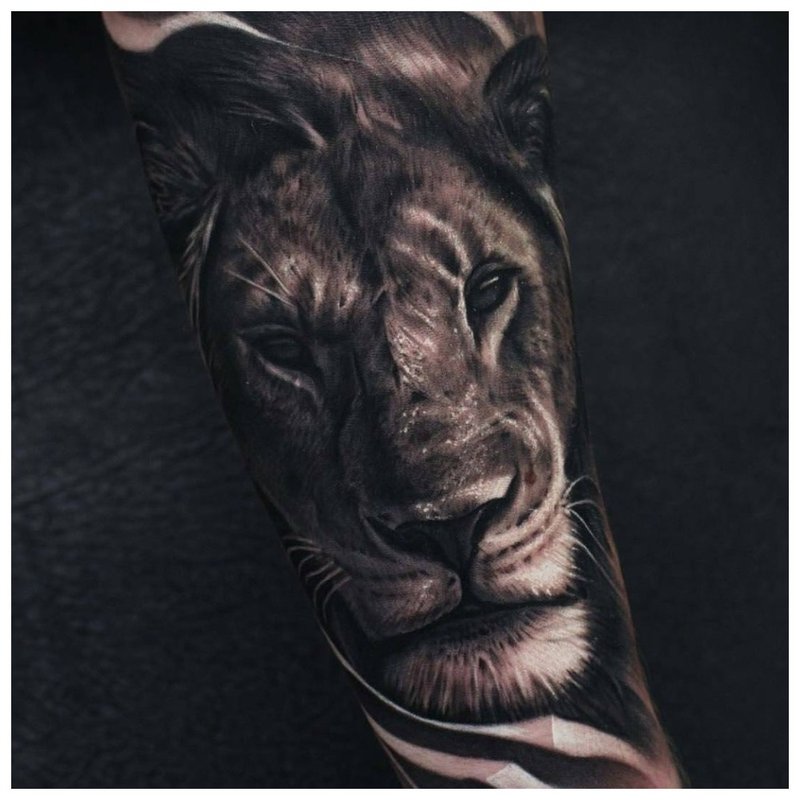 Animal tattoo on a man's arm