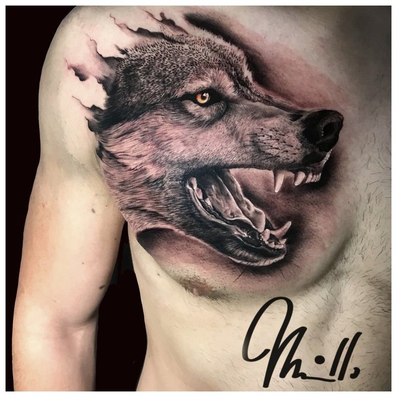 Grin of a wolf - tattoo on a man’s chest