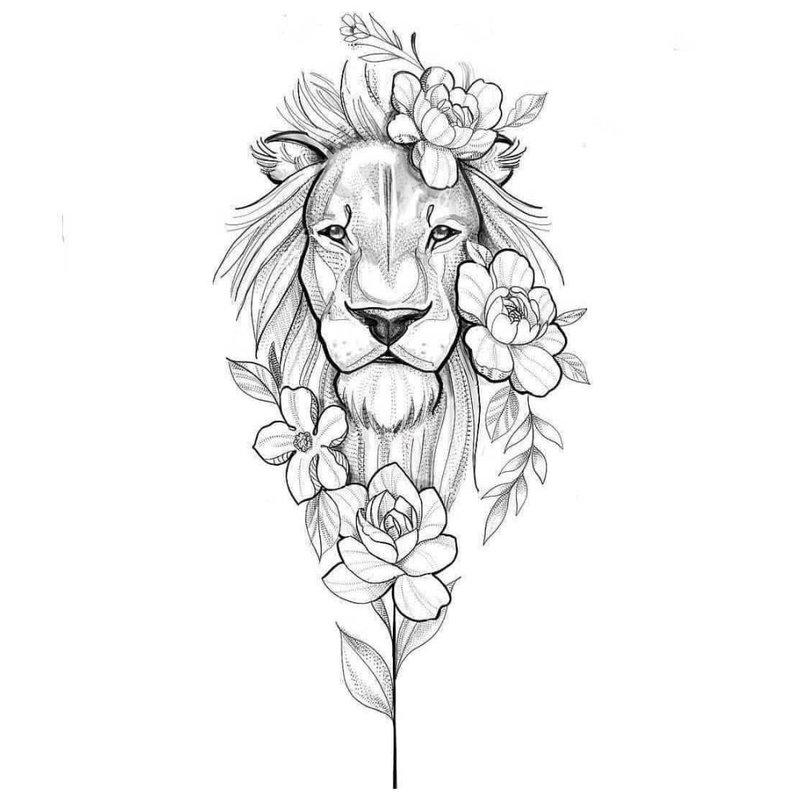 A large sketch of a lion