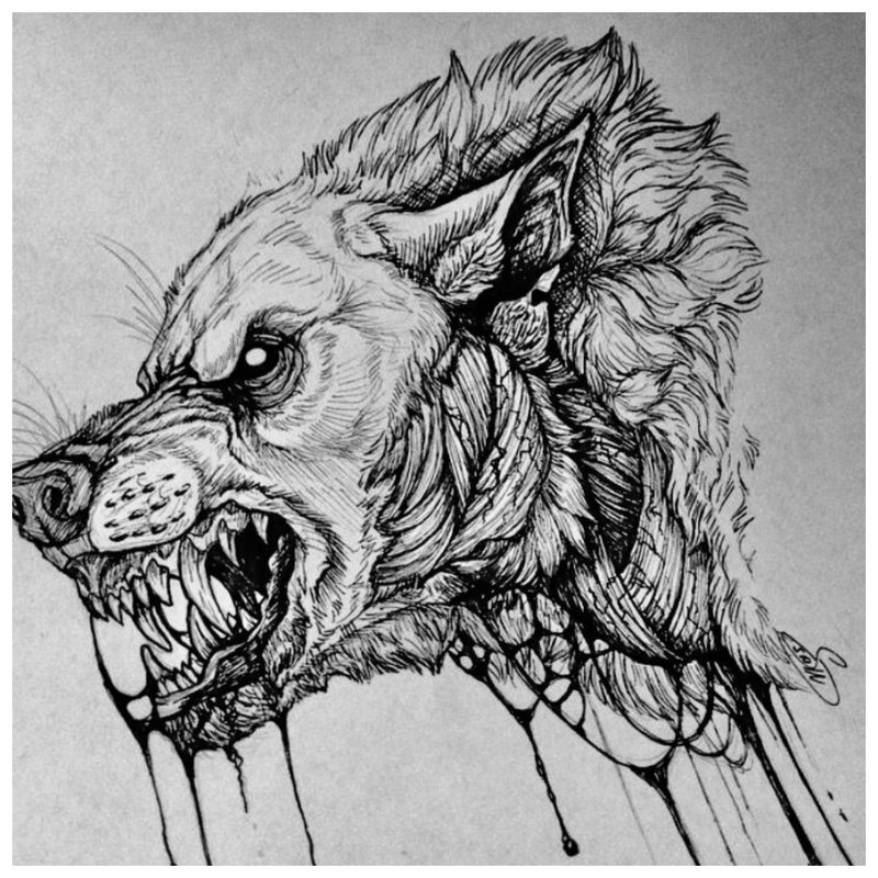 Wolf's mouth - sketch for tattoo