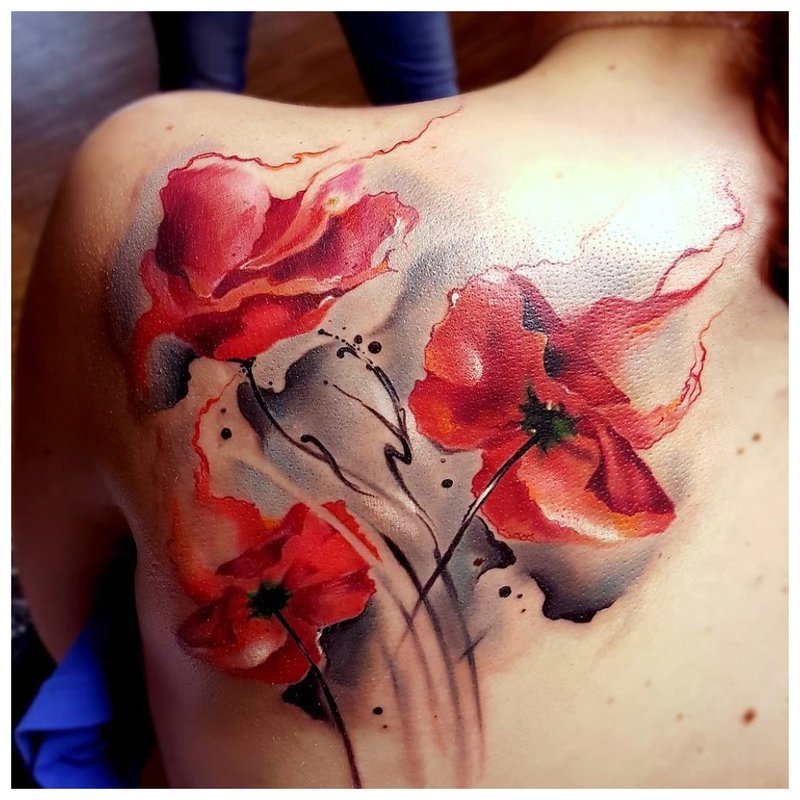 Watercolor poppies on the back