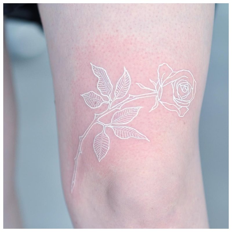 White rose tattoo